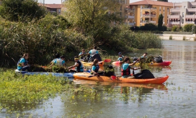 12 tonnes de Jussie et de détritus