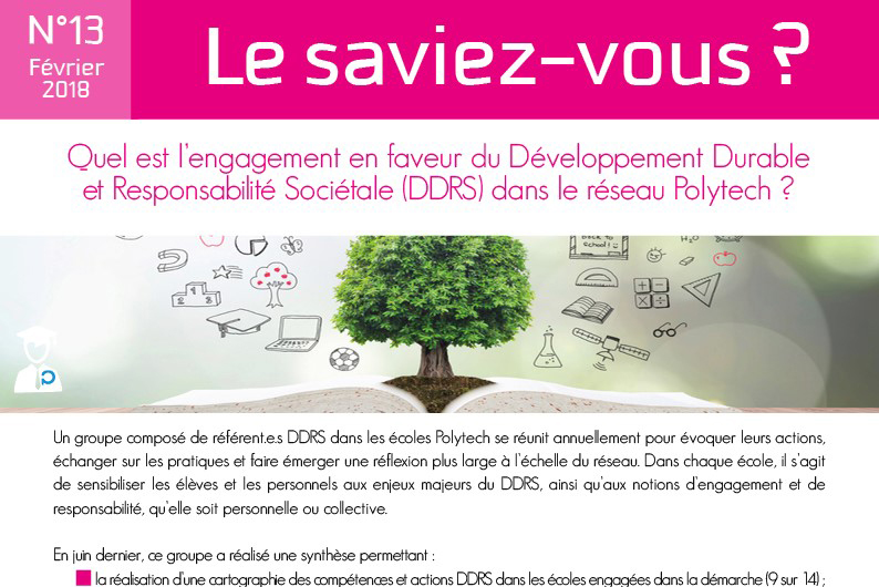 Quel est l'engagement en faveur du DDRS dans le réseau Polytech ?