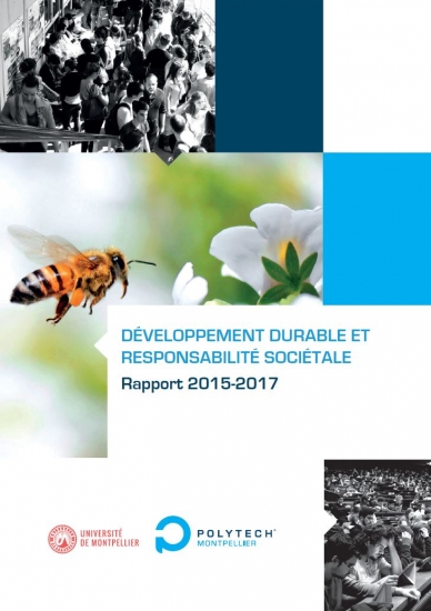 Nouveau rapport DDRS