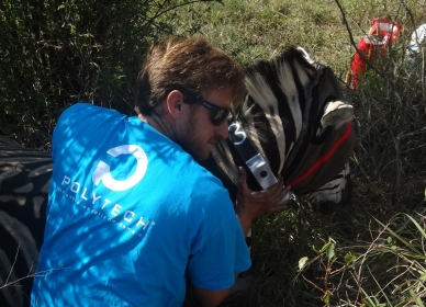 Polytech Montpellier jusque dans la savane !